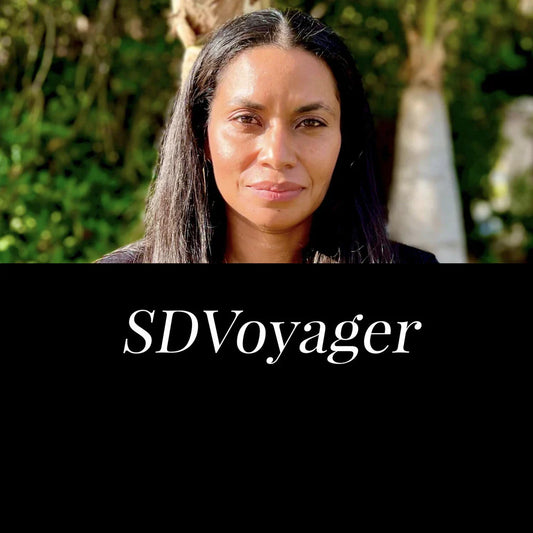 Final Feature of 2024 With SD Voyager